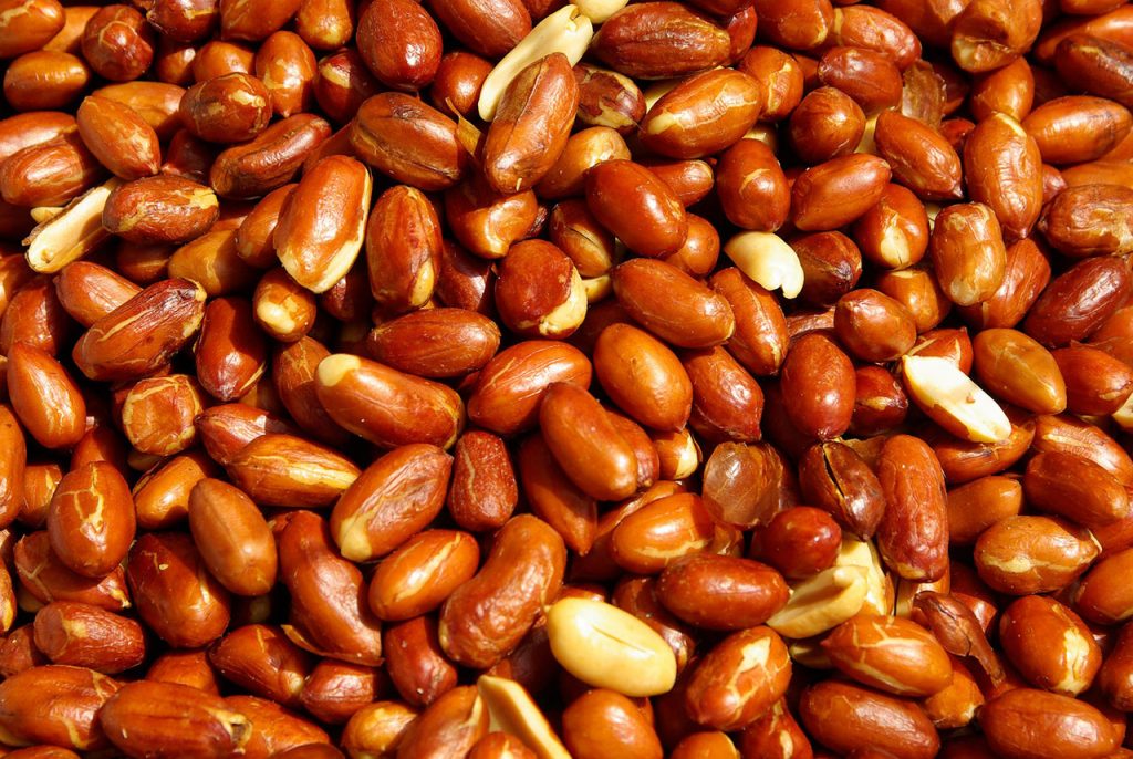 ¿Cuánta cantidad de cacahuates es la ideal?