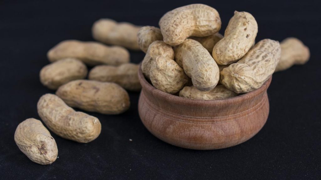 ¿Por qué el cacahuate es considerado el peor fruto seco para tu salud? fruto seco