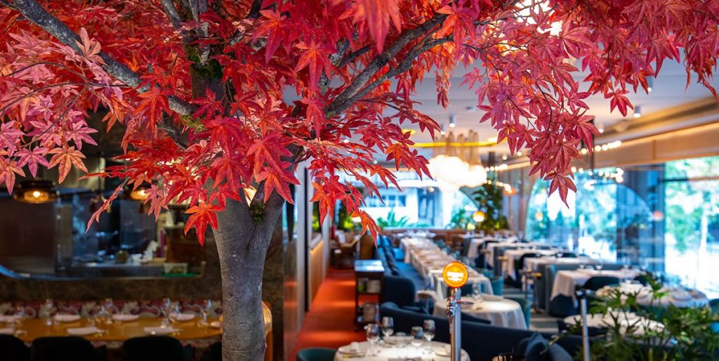 ¿Qué es lo que no debes ordenar nunca en un restaurante?