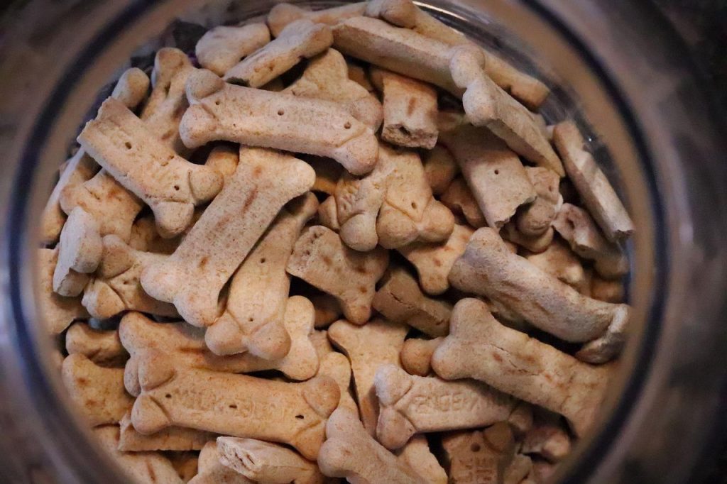 Galletas caseras para perros: premia a tu mascota con algo saludable