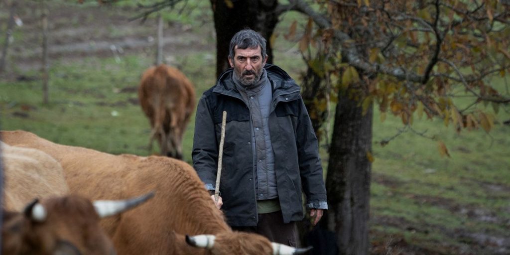 ¿Cuál es el argumento?