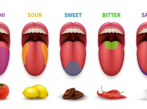 Qué es el umami 1 Qué es el umami