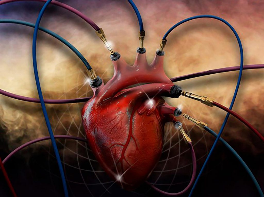 Qué es la arteria aorta 140 Causas