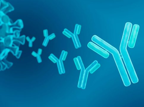 Qué es la inmunoterapia 1 Qué es la inmunoterapia