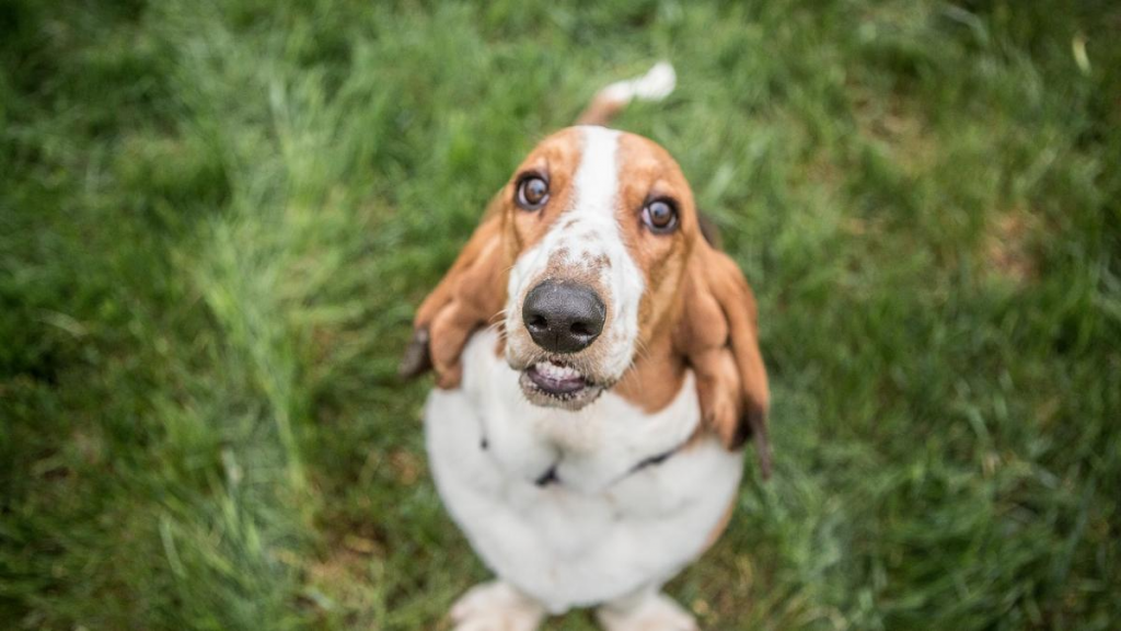 Recomendaciones para evitar una multa