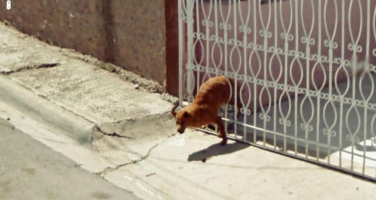 Imágenes sin explicación encontradas en Google Maps