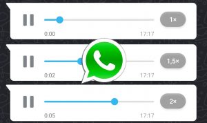 Los audios de Daniel Sancho desde prisión pidiendo ayuda a Silvia Bronchalo que reavivan el caso