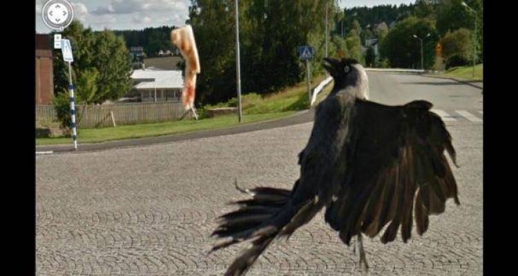 Imágenes sin explicación encontradas en Google Maps