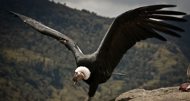 Cosas que son muchísimo más grandes de lo que crees 13 Cosas que son muchísimo más grandes de lo que crees