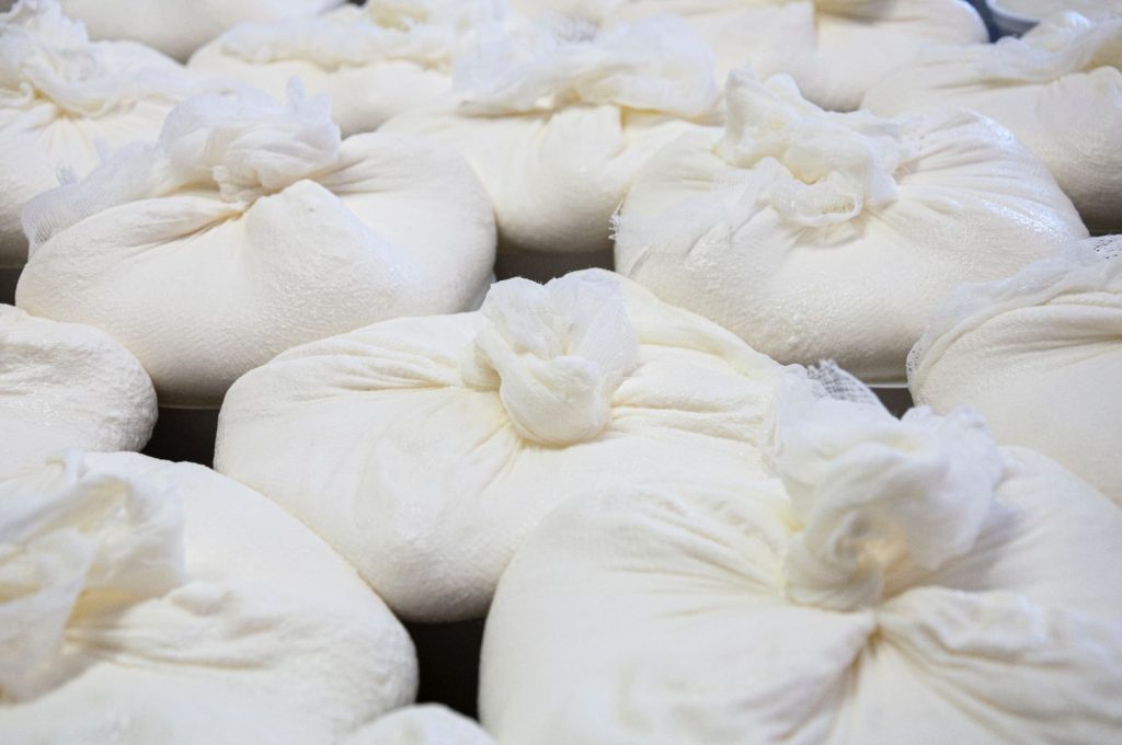 Quesos que sí puedes comer aunque estés a dieta