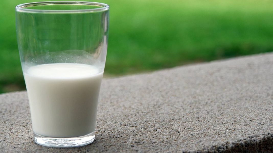 Los lácteos no son el único alimento