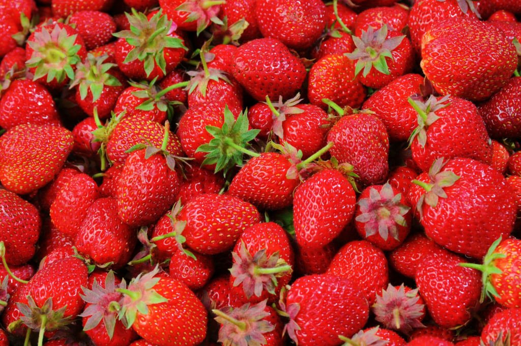 fresas propiedades