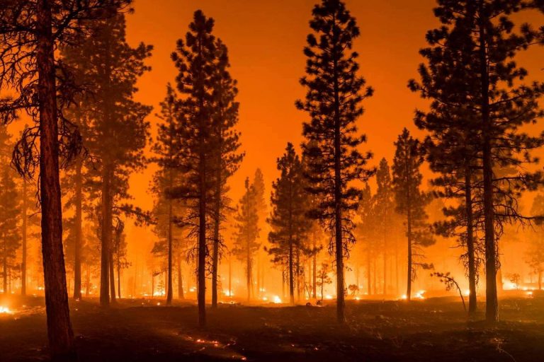El extintor líquido orgánico AYDOAGUA permite apagar fuegos más rápido y es ecológico y sostenible