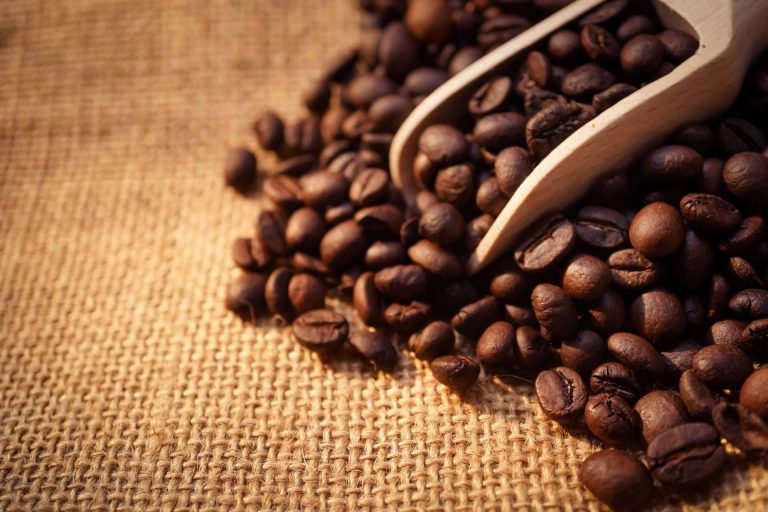 Xtrong, el nuevo café ecológico de alta intensidad de Orisens