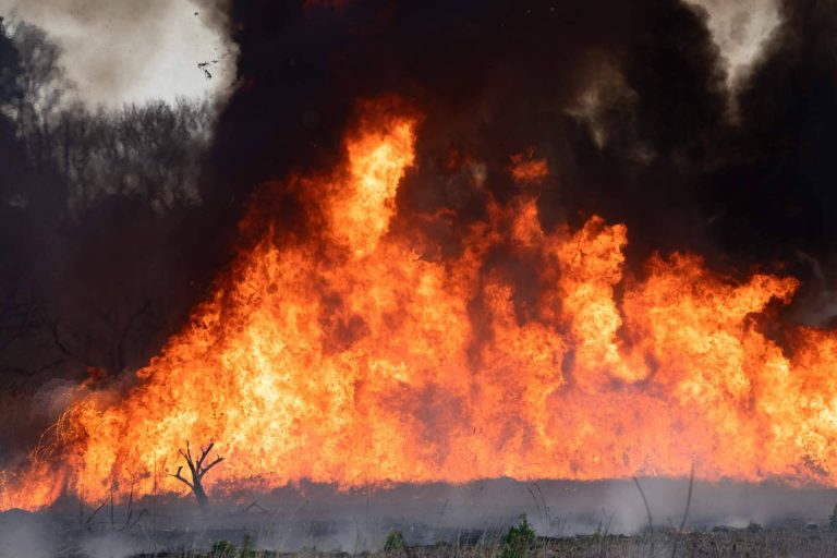 #SoydeMijas plantea como prevenir los incendios forestales en Mijas