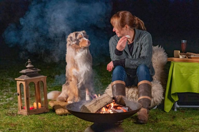 Diferencias entre comprar y adoptar perros, de la mano de Cachorros del Valle