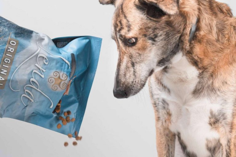 Los beneficios de elegir a Lenda para la alimentación de las mascotas