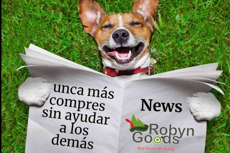 El marketplace que promueve la solidaridad en cada compra, RobynGoods