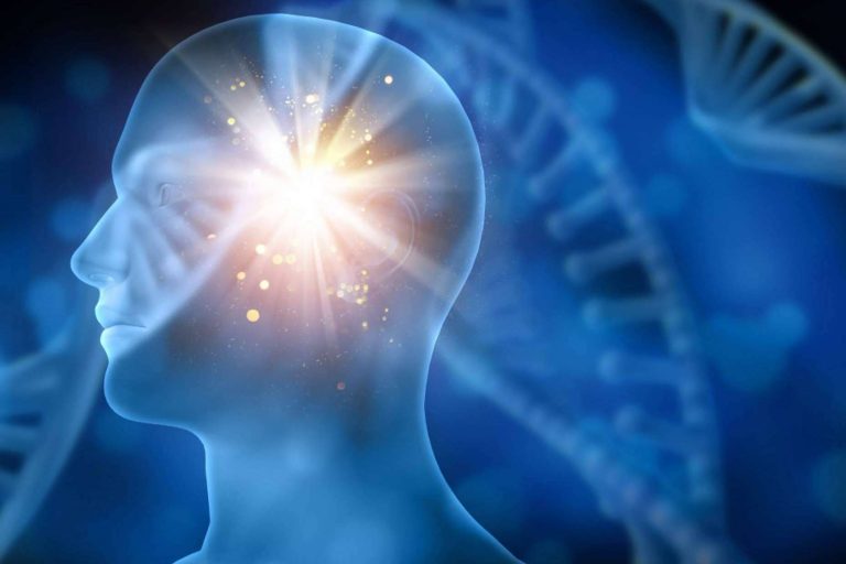 Las claves de la neurorrehabilitación, por el equipo de expertos de INIMA Rehabilitación