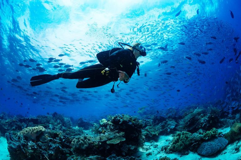 Con Diveasapp es posible practicar buceo en Murcia