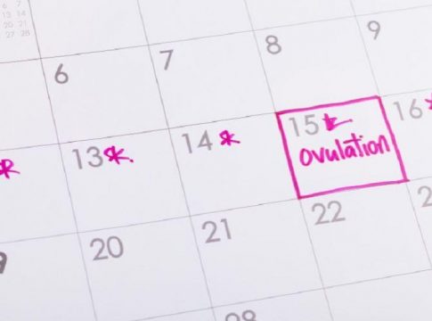 ovulación reproducción asistida