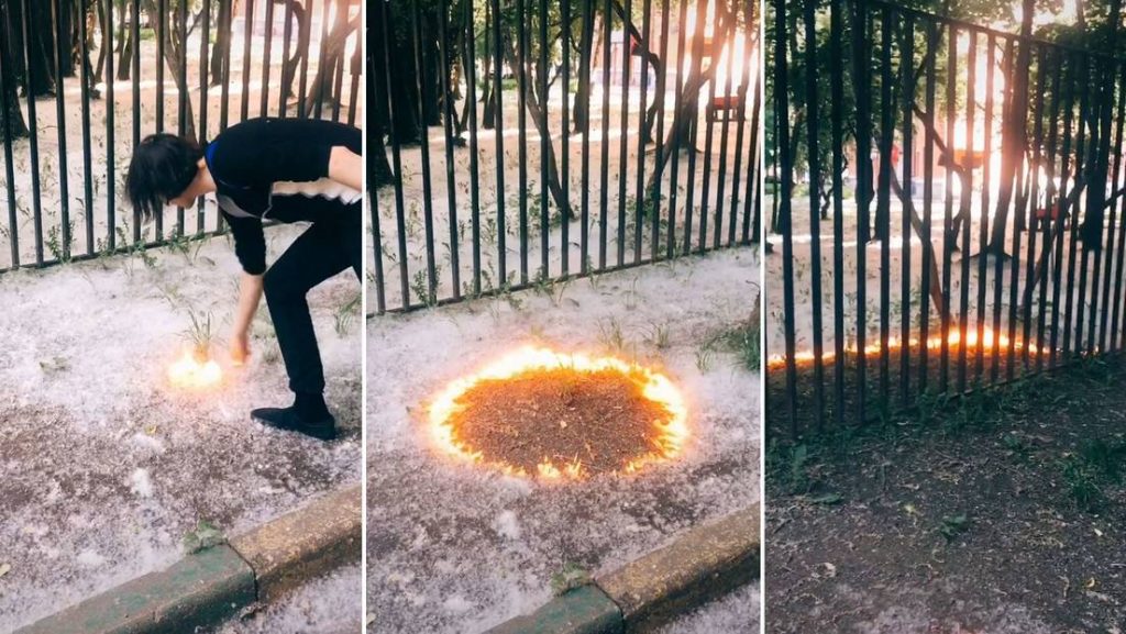 El Blackout Challenge y otros retos de TikTok que pueden matarte 35 Las "pelusas" de TikTok