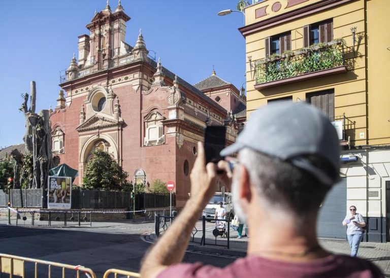 El juez mantiene la suspensión de la licencia para talar el ficus de Sevilla