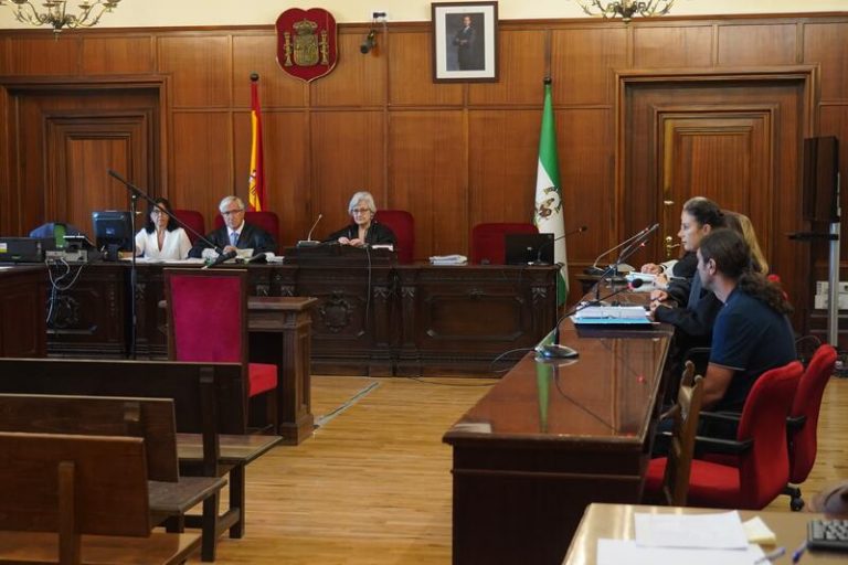 El acusado de asesinar a su tía en Sevilla alega que estaba 