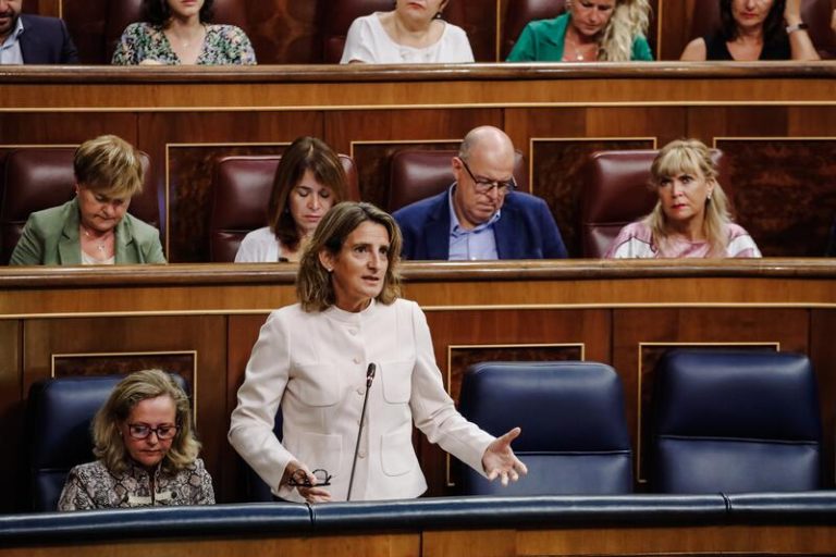 Teresa Ribera pide 