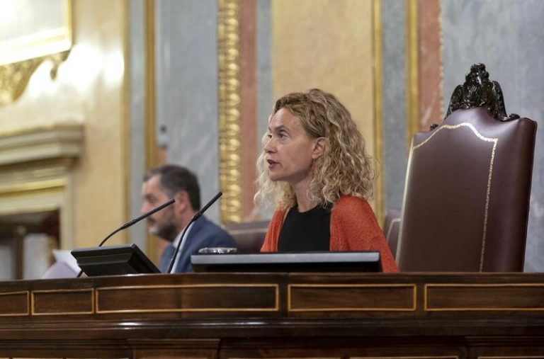 Batet (PSOE) incide en que no valen 