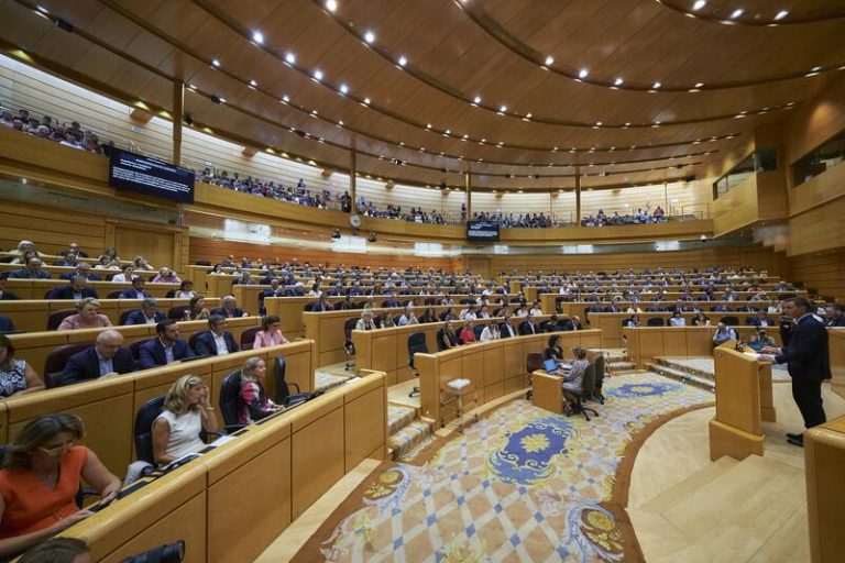 El Senado retoma el control al Gobierno en un Pleno sin intervenciones de Sánchez y Feijóo