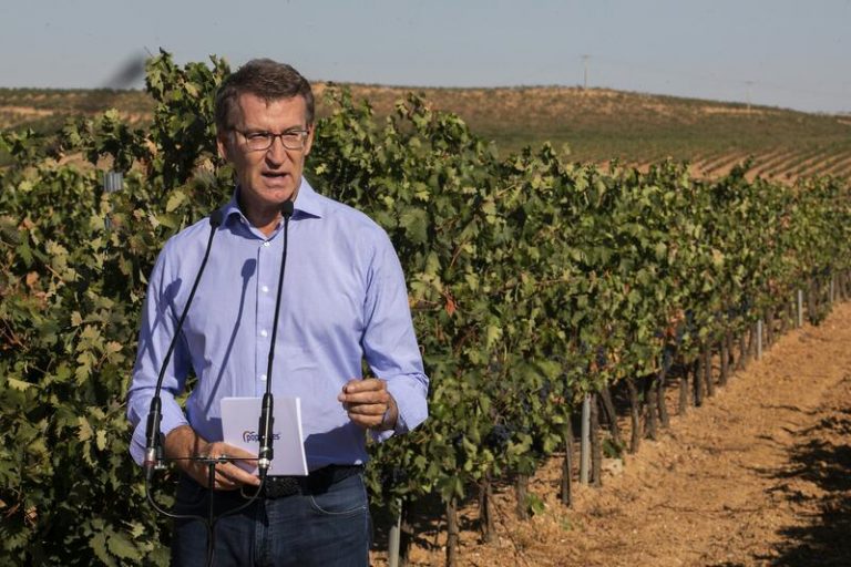 Feijóo pide replantear el PERTE Alimentario por 