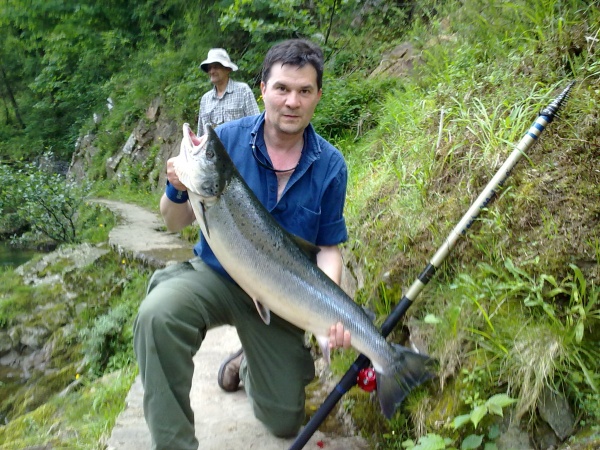 Las leyes más estúpidas pero reales que existen