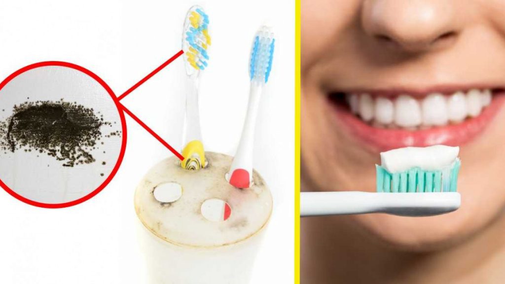 Así deberías desinfectar tu cepillo de dientes después de usarlo 129 ¿Cuáles son los tipos?