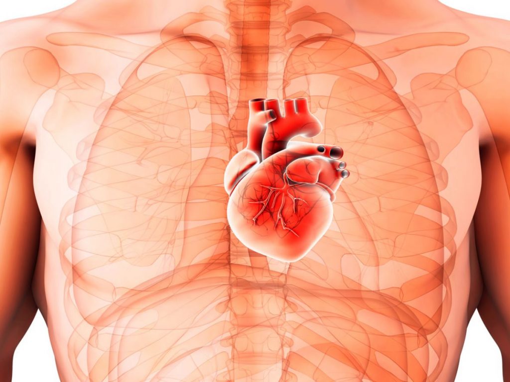 El cáncer de corazón