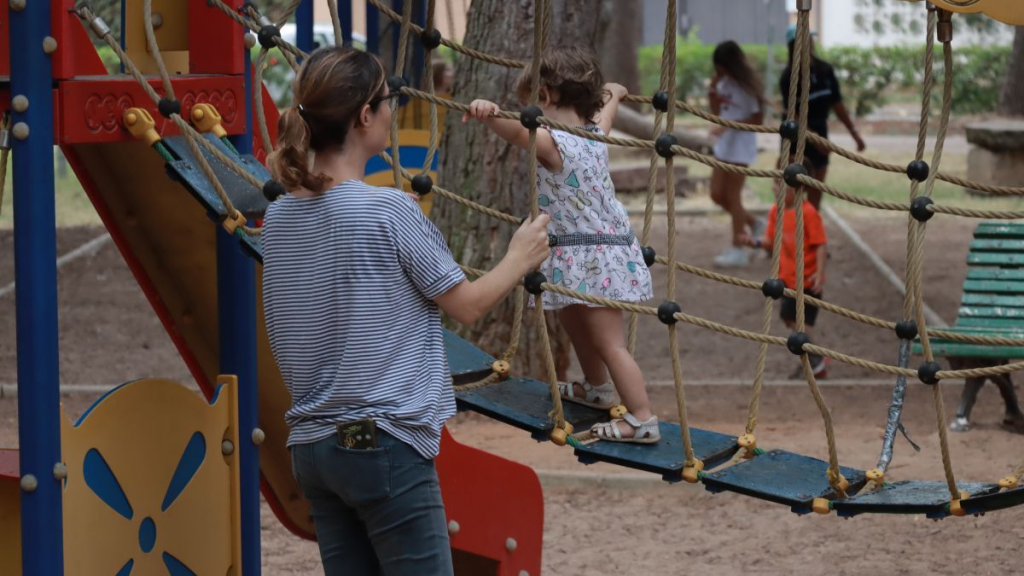 Compatibilidad con otras prestaciones