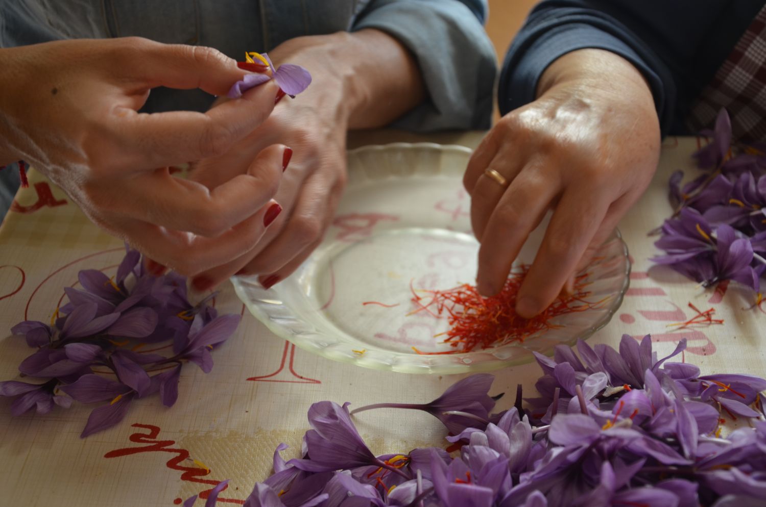 Demostracion monda azafran 2