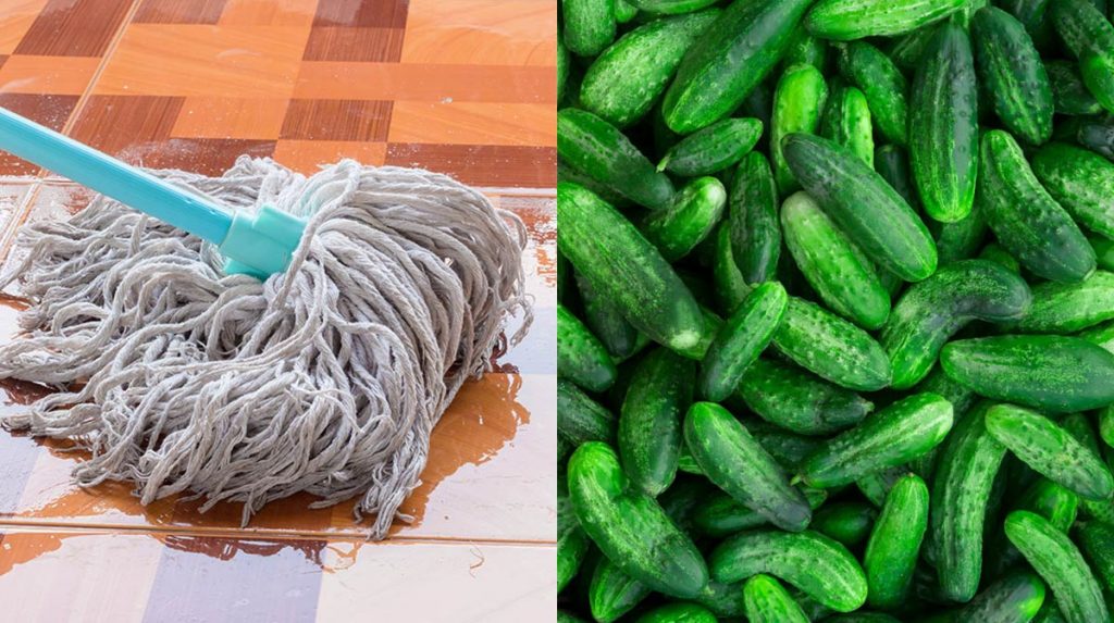 El ingrediente de la cocina que acabará con las cucarachas para siempre 38 ¿Cómo es el truco del pepino para eliminar las cucarachas de la cocina?