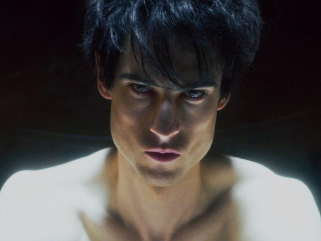 El planteamiento de Los sueños de mil gatos y Calíope 