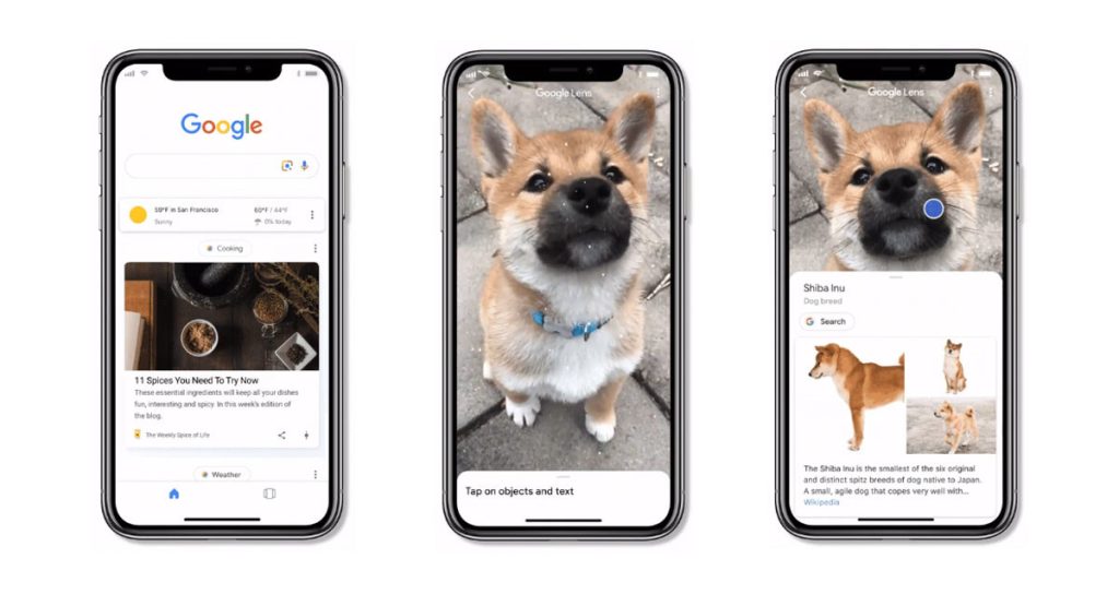 ¿Cómo ver y borrar la actividad de Lens?