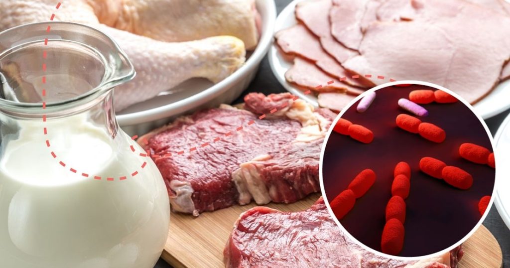 ¿Qué alimentos pueden contagiar la Listeria?