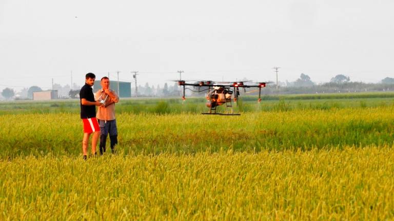 Una tecnología basada en algoritmos busca ayudar a los pequeños agricultores a enfrentarse al cambio climático