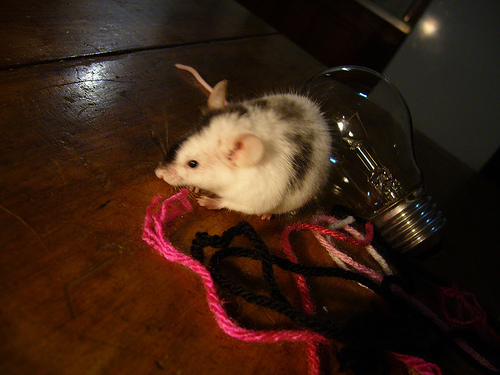 Descubrimientos científicos que resultaron ser un engaño