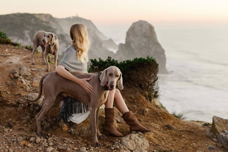 La adopción de perros, una forma de ganar amigos