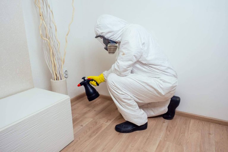 American Pest Control, la empresa de control de plagas de Madrid