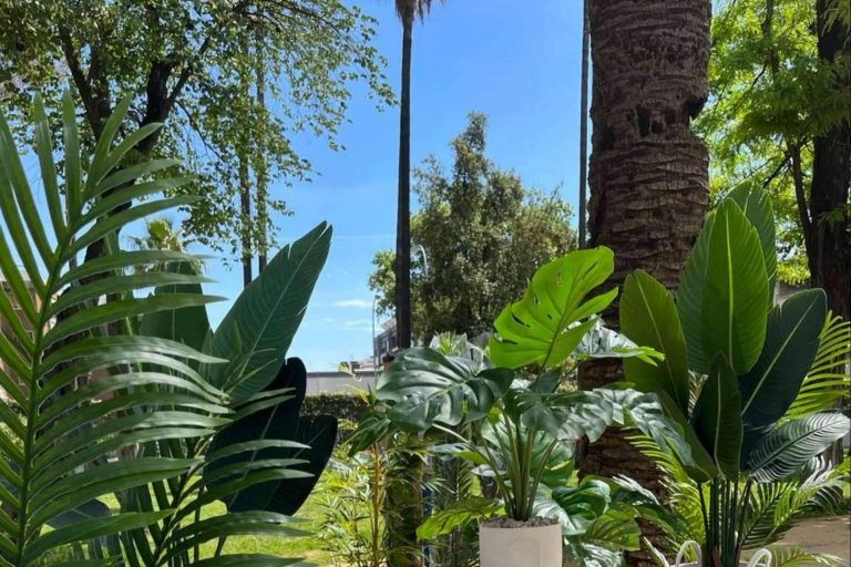 Comprar plantas artificiales por internet en Zamyo