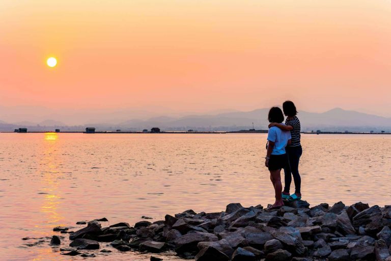 Descubrir la Albufera en paseos en barca con Albumar
