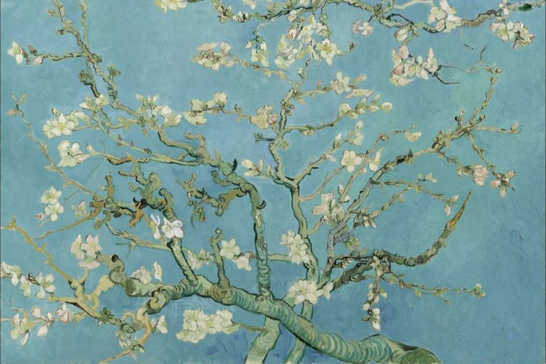 Pintar por números La Noche Estrellada de Vincent Van Gogh con Canvas by Numbers