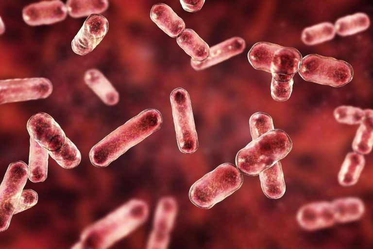 Clínica Umebir, rehabilitación intestinal para pacientes con disbiosis