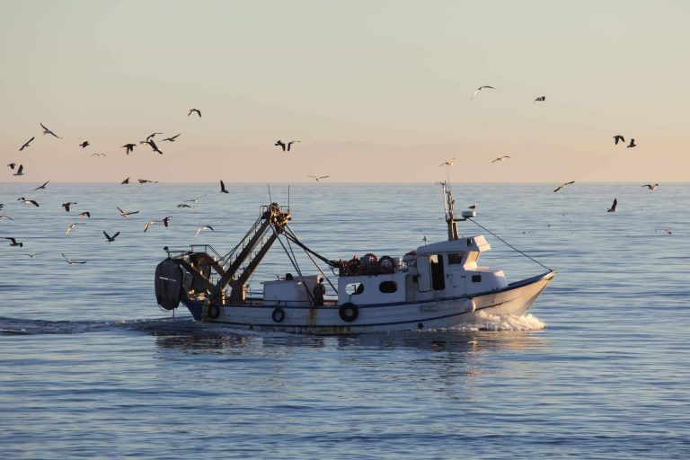 Nova Argonáutica ofrece recambios de amarre y accesorios de fondeo náutico